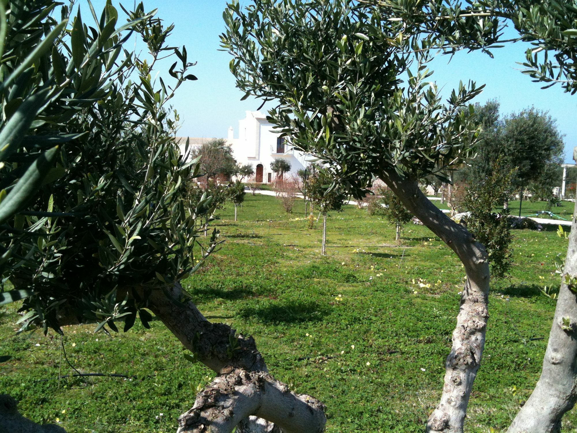 Casale Del Murgese Country Resort Savelletri Exterior photo